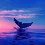 دانلود آهنگ حمید کاکاوند میترسم مه بمیرم تو نیایی
